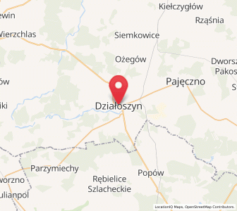 Mapa: Działoszyn, województwo łódzkie