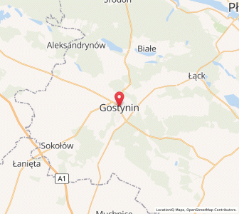 Mapa: Gostynin, województwo mazowieckie
