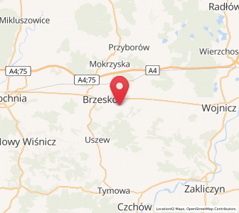Mapa: Jadowniki, województwo małopolskie