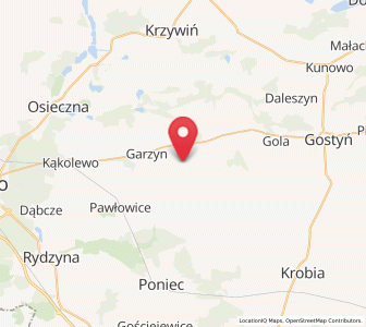 Mapa: Krzemieniewo, województwo wielkopolskie