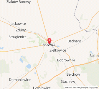 Mapa: Łowicz, Województwo łódzkie