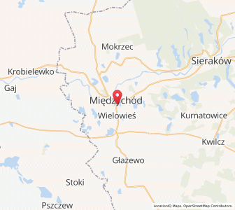 Mapa: Międzychód, województwo wielkopolskie
