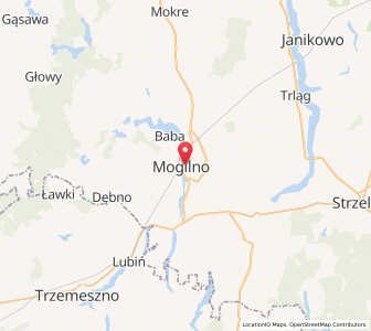 Mapa: Mogilno, województwo kujawsko-pomorskie