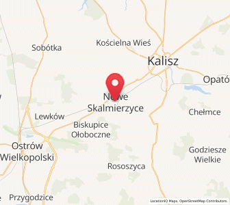 Mapa: Nowe Skalmierzyce, województwo wielkopolskie