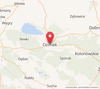 Mapa: Ozimek, województwo opolskie