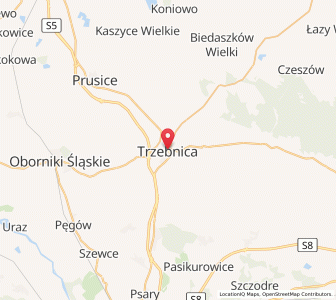 Mapa: Trzebnica, województwo dolnośląskie