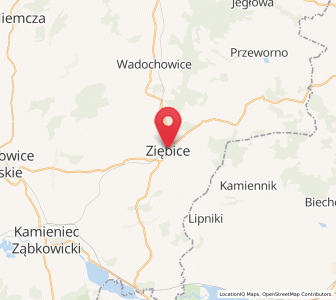 Mapa: Ziębice, województwo dolnośląskie