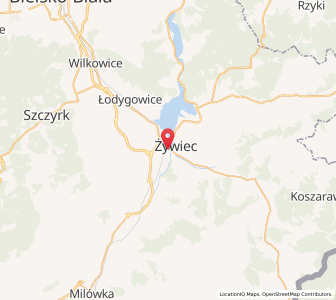 Mapa: Żywiec, Województwo śląskie